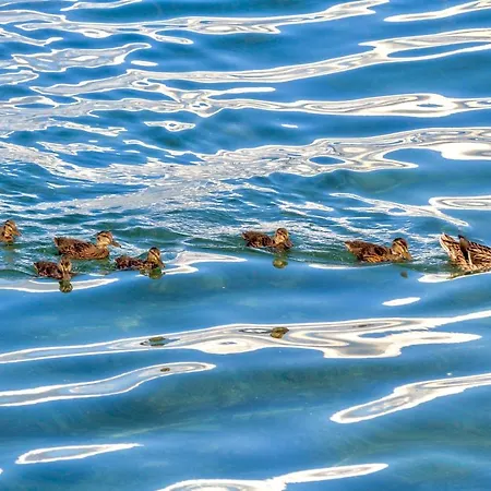 Auszeit Lakeside Mit Privatstrand شقة *